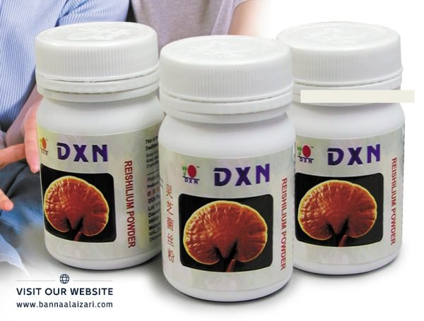 الفطر الريشي (جانوديرما) - الصورة 2